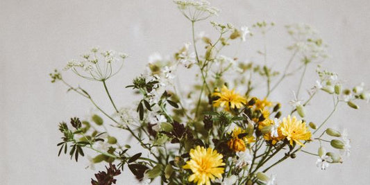 Comment soulager naturellement les allergies saisonnières ?