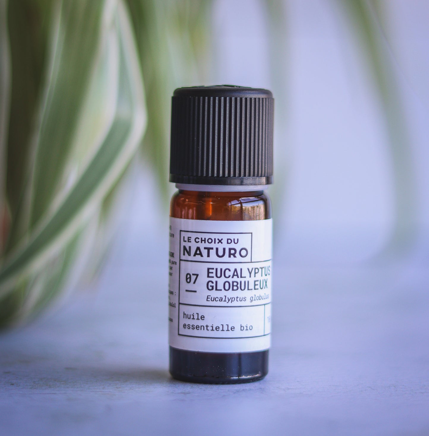 Huile essentielle d'Eucalyptus globulus bio