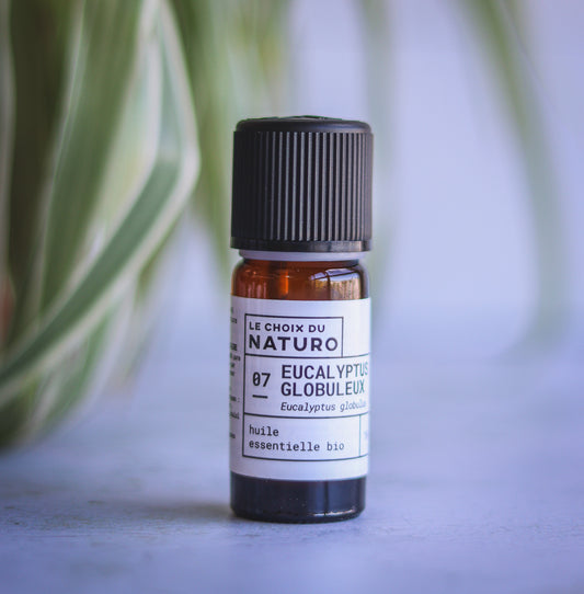 Huile essentielle d'Eucalyptus globulus bio