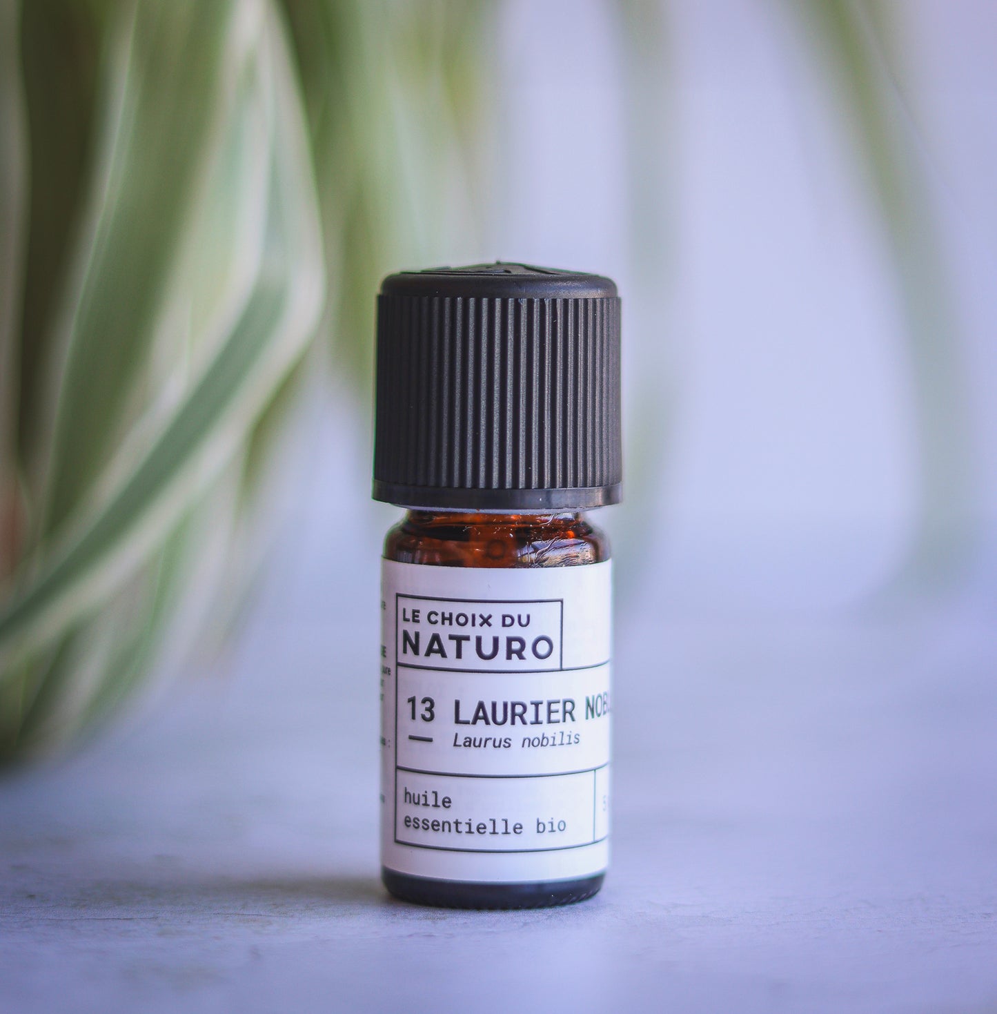Huile essentielle de Laurier noble bio