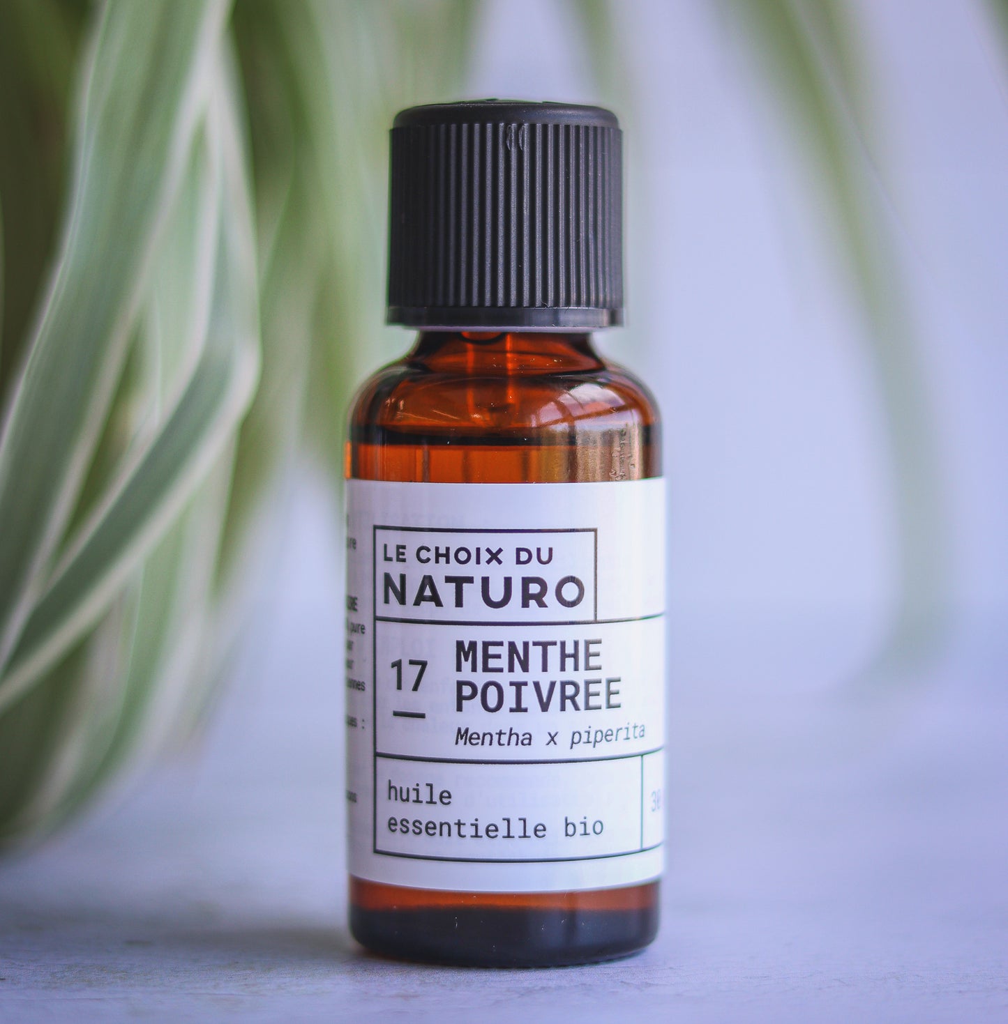 Huile essentielle Menthe poivrée bio