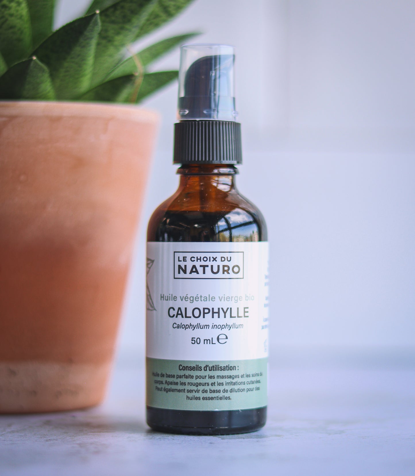 Huile végétale de Calophylle bio