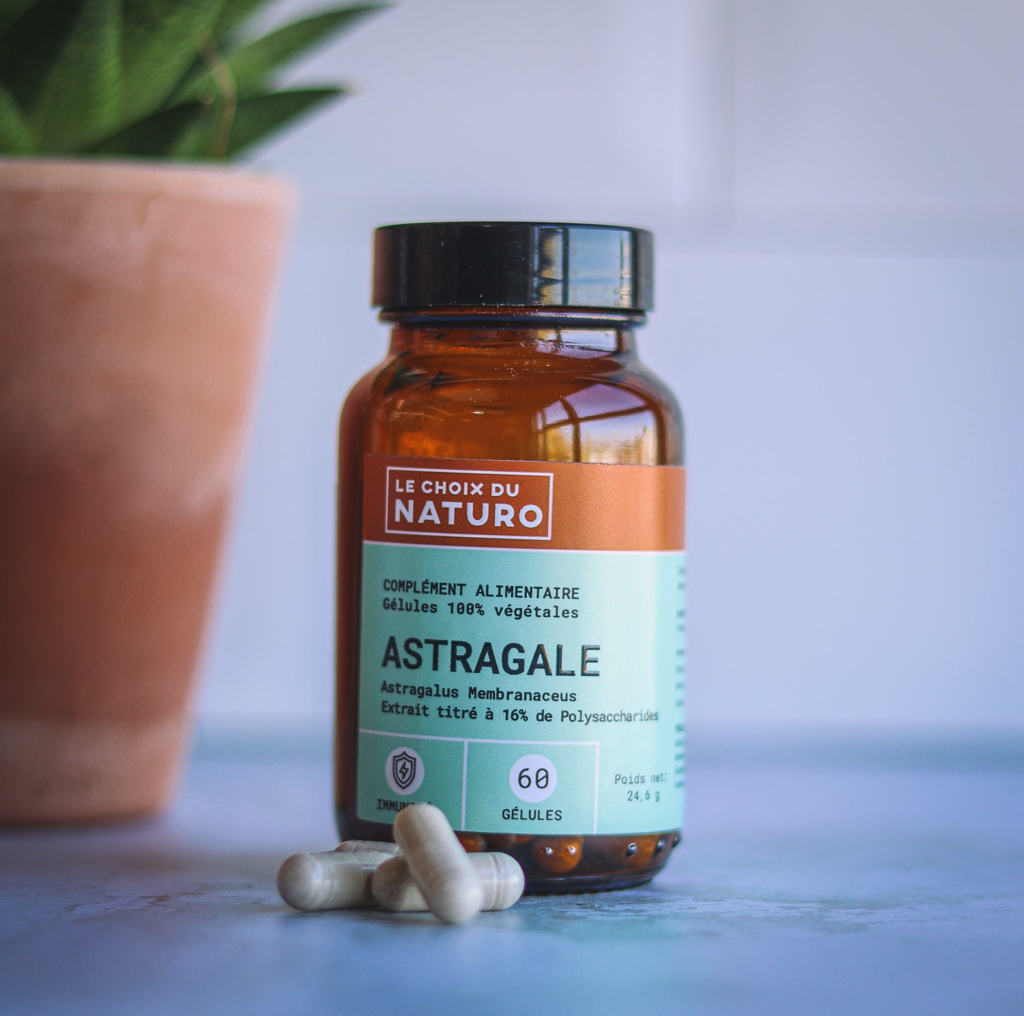 Complément alimentaire Astragale 2