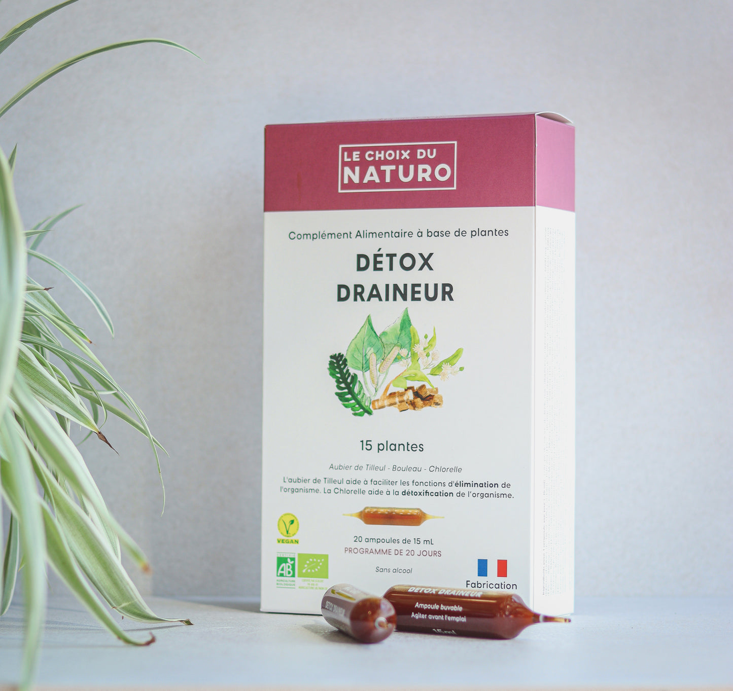 Detox Draineur Complément alimentaire 2