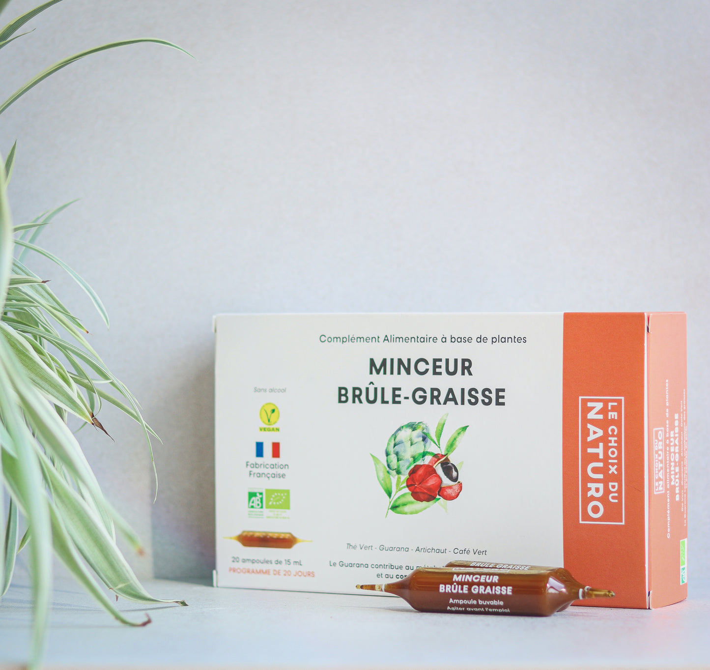 Brûle graisse Complément alimentaire 2
