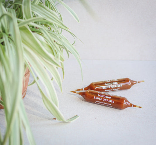 Brûle graisse Complément alimentaire 1