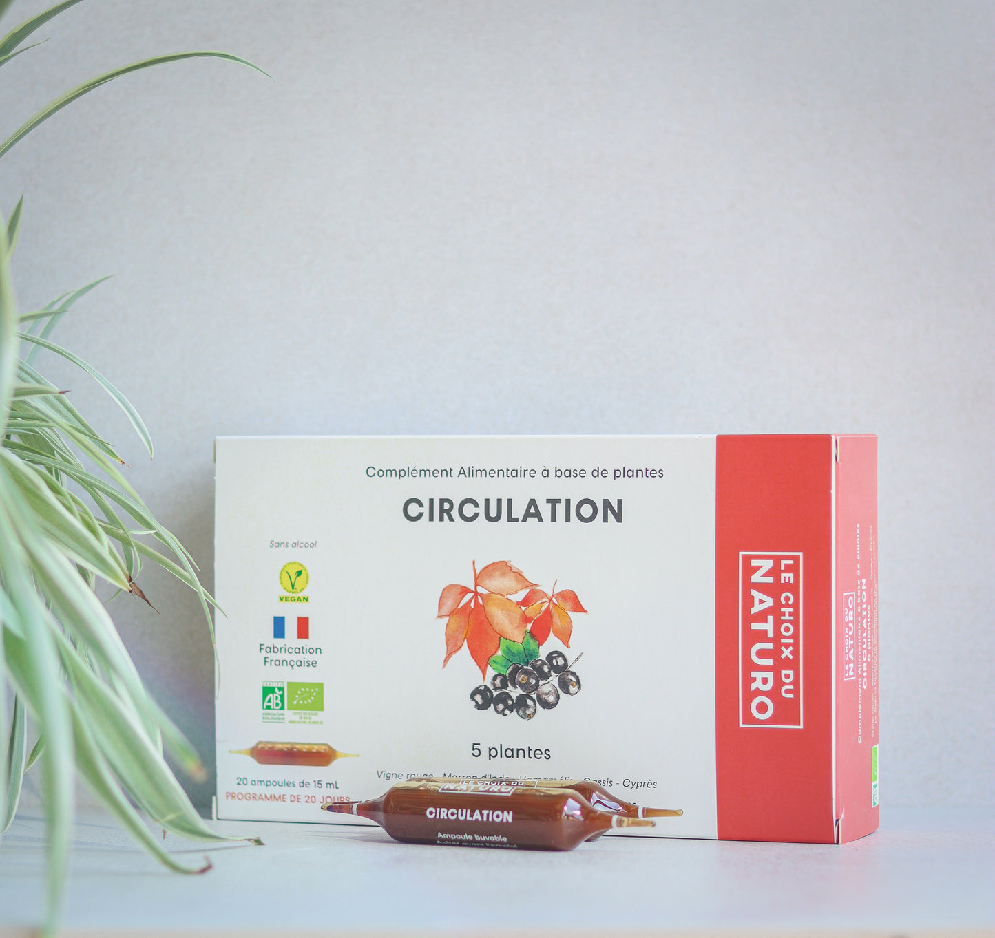 Circulation Complément alimentaire en ampoules