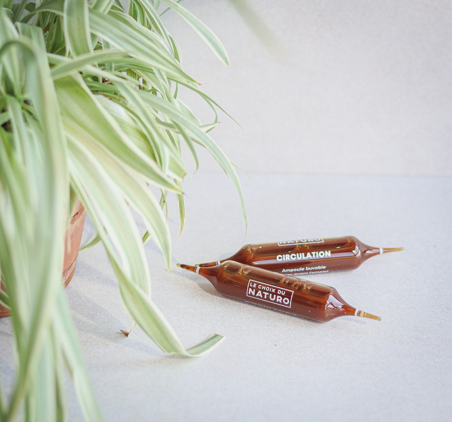 Circulation Complément alimentaire 2