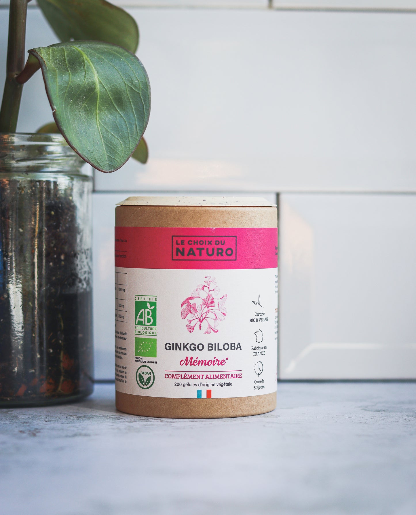 Ginkgo-Bilboa Bio 1