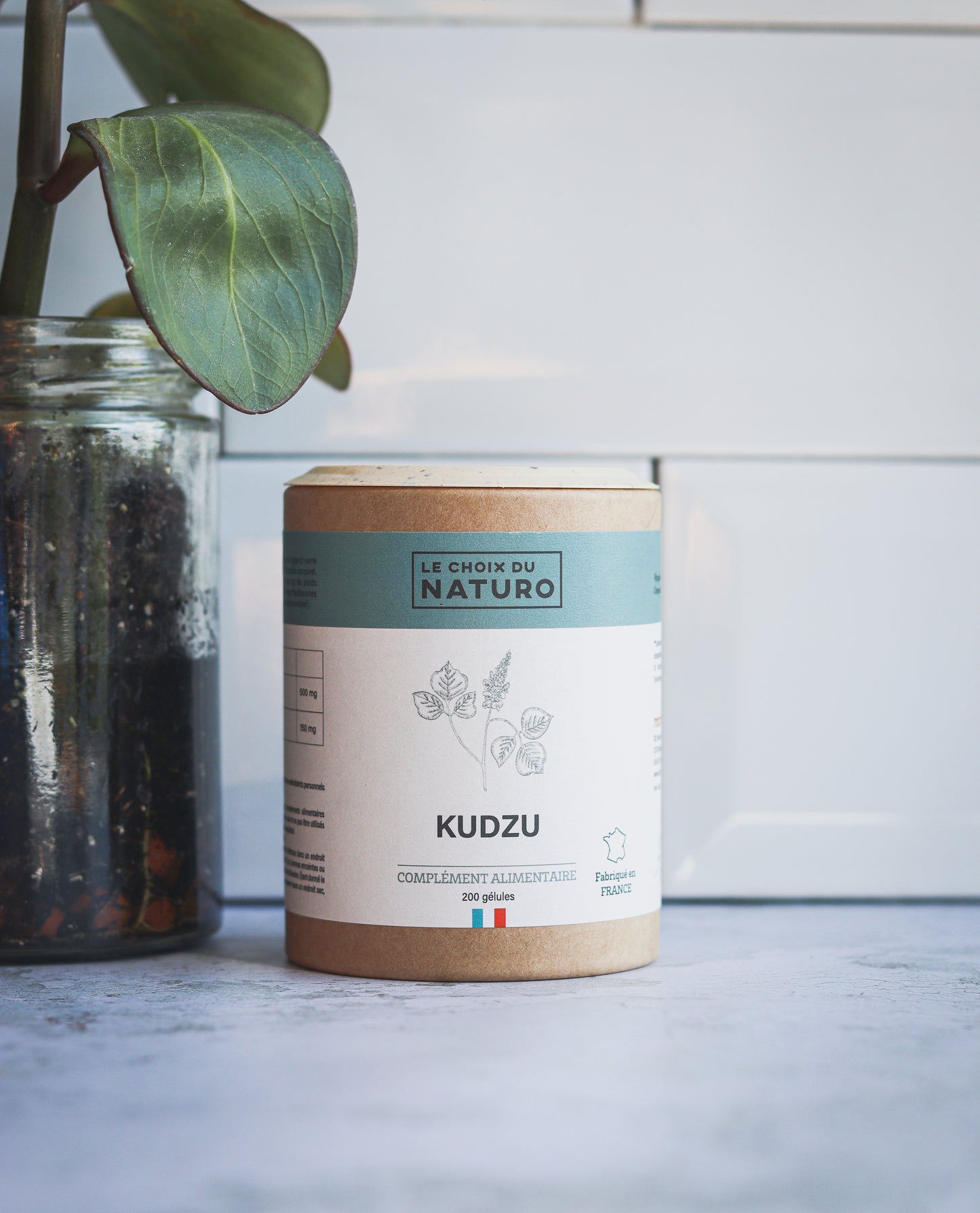 Kudzu Bio