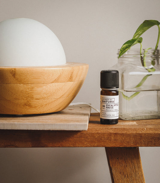 Huile essentielle Eucalyptus radié bio