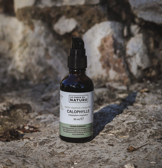 Huile végétale de Calophylle bio