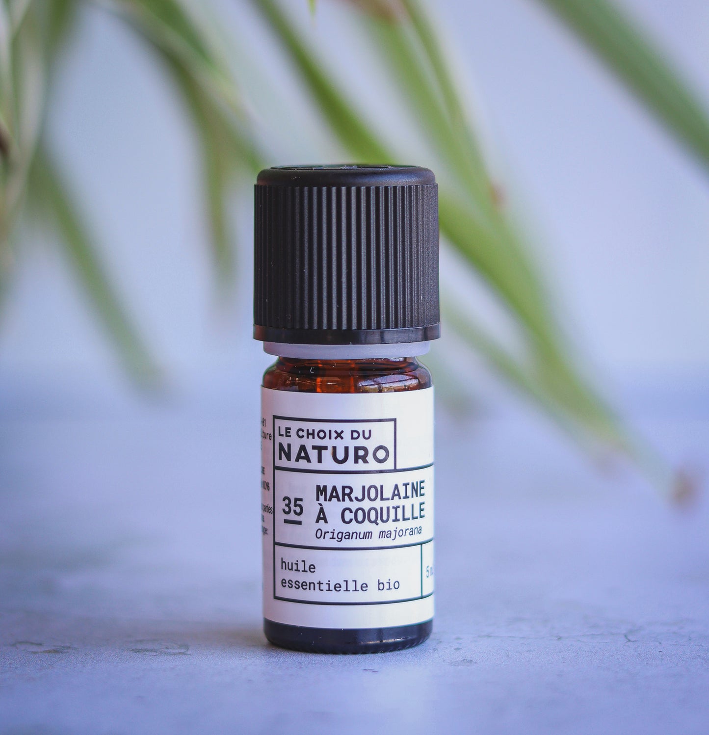 Huile essentielle Marjolaine à coquilles bio