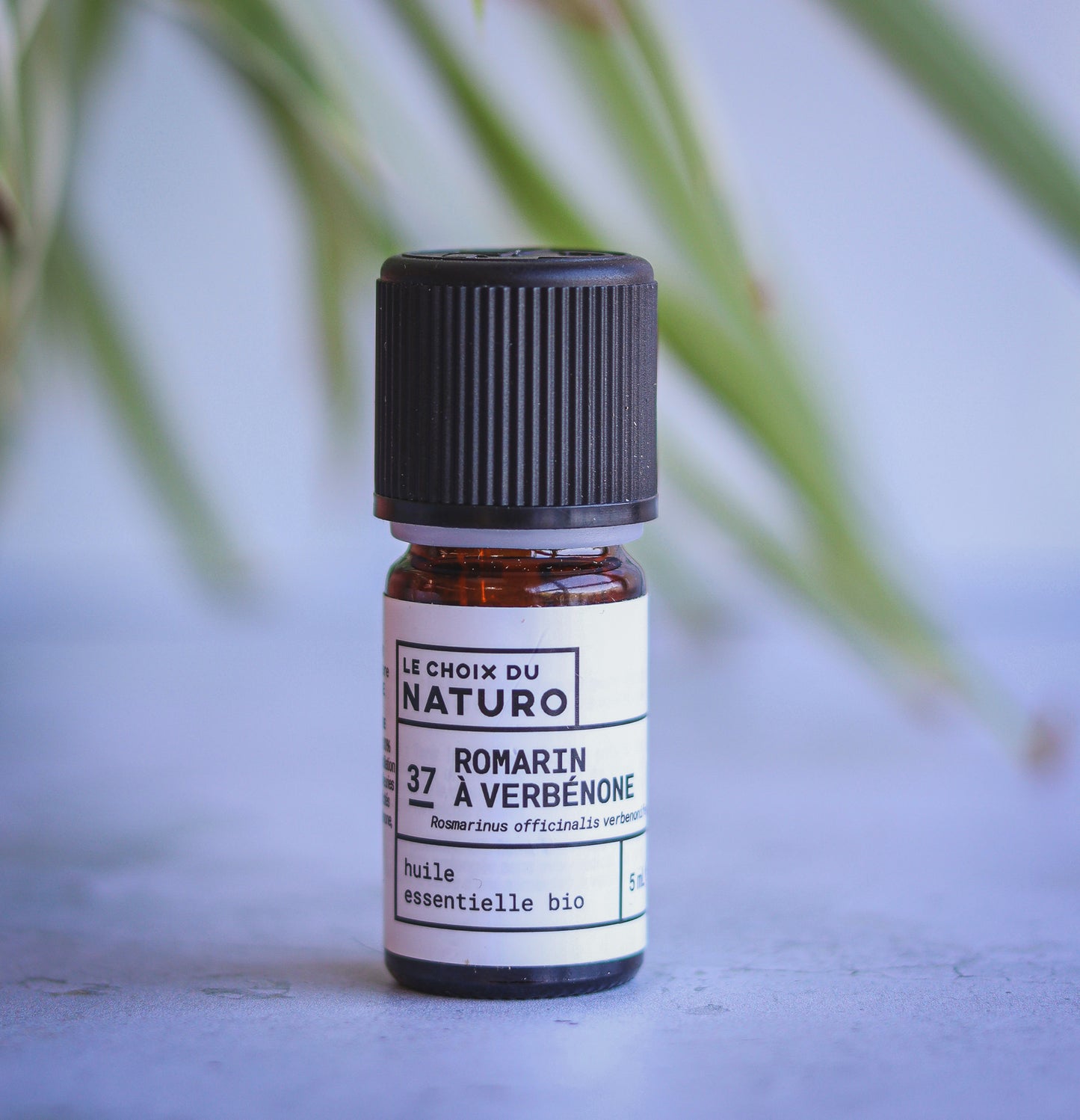 Huile essentielle Romarin à Verbénone bio