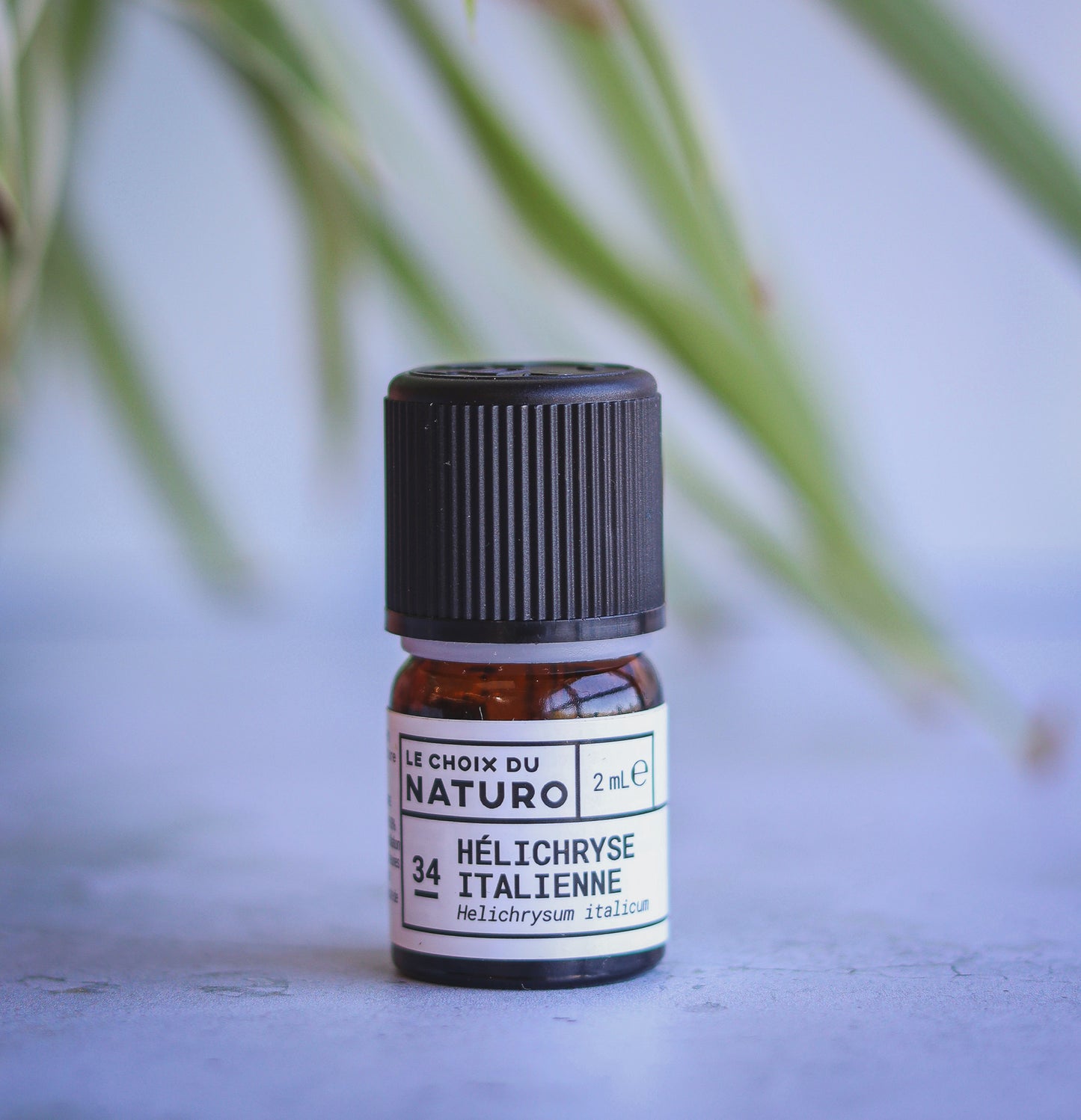 Huile essentielle de Hélichryse Italienne bio 2
