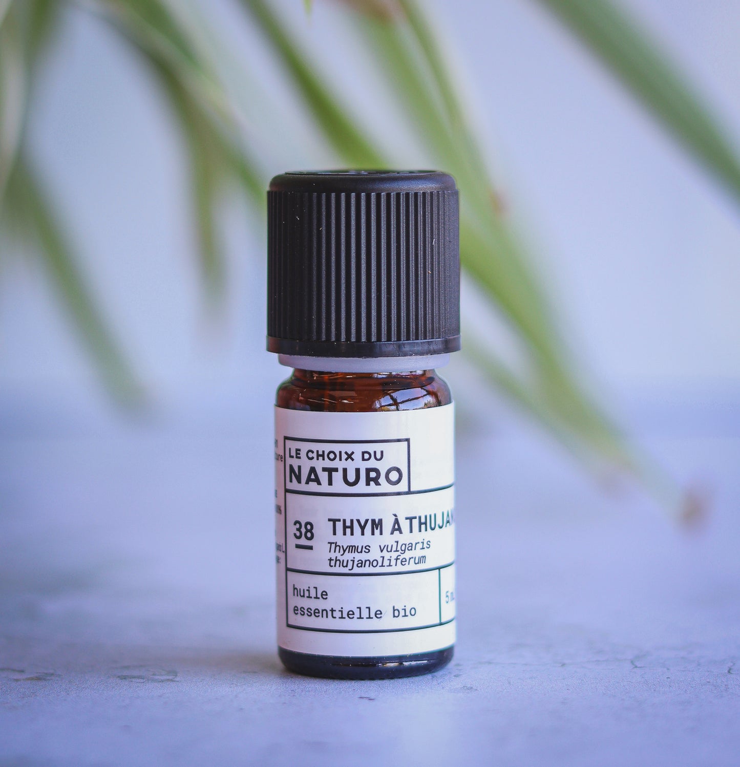 Huile essentielle Thym à Thujanol bio