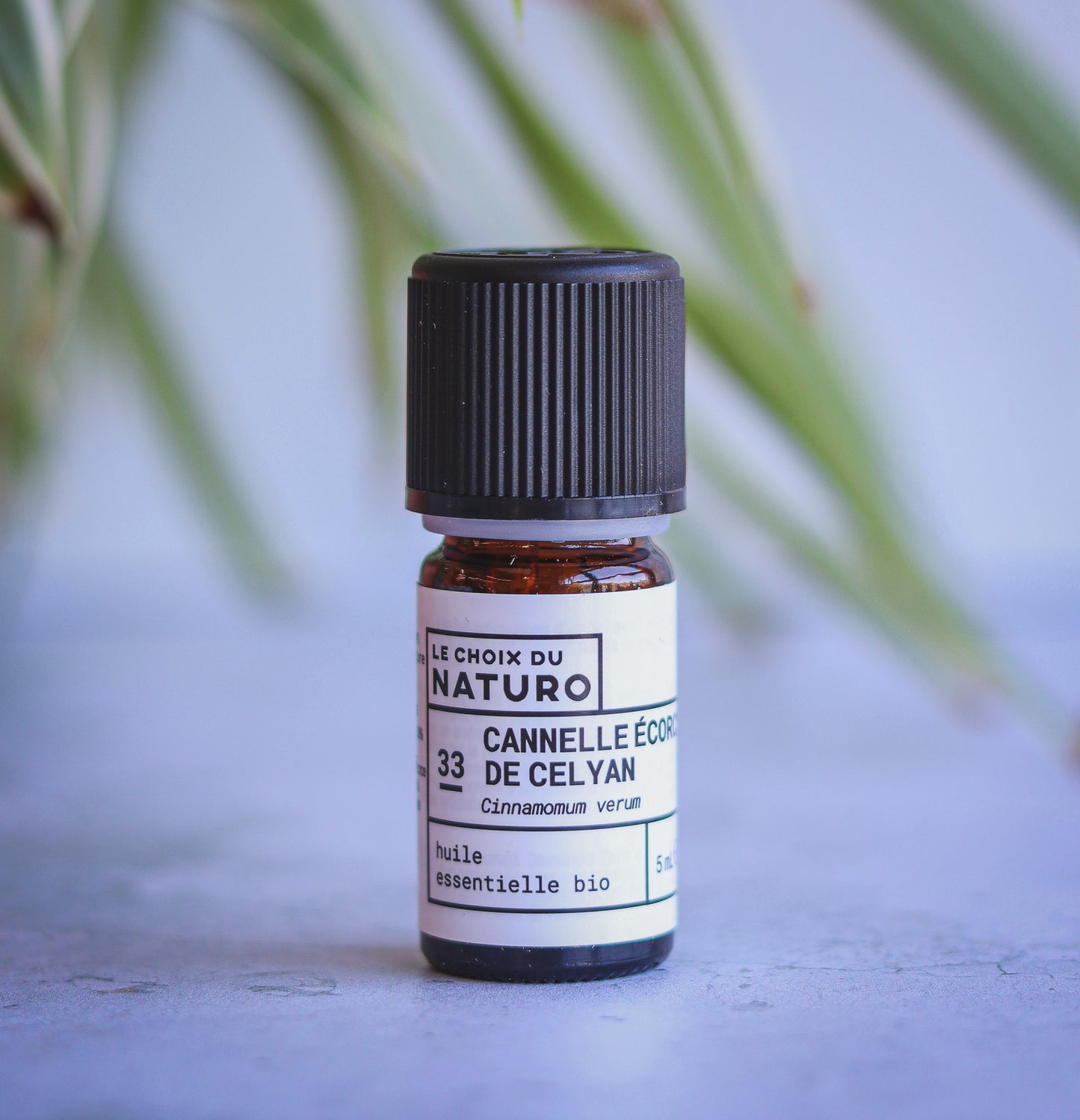 Huile essentielle de Cannelle Ceylan bio 2