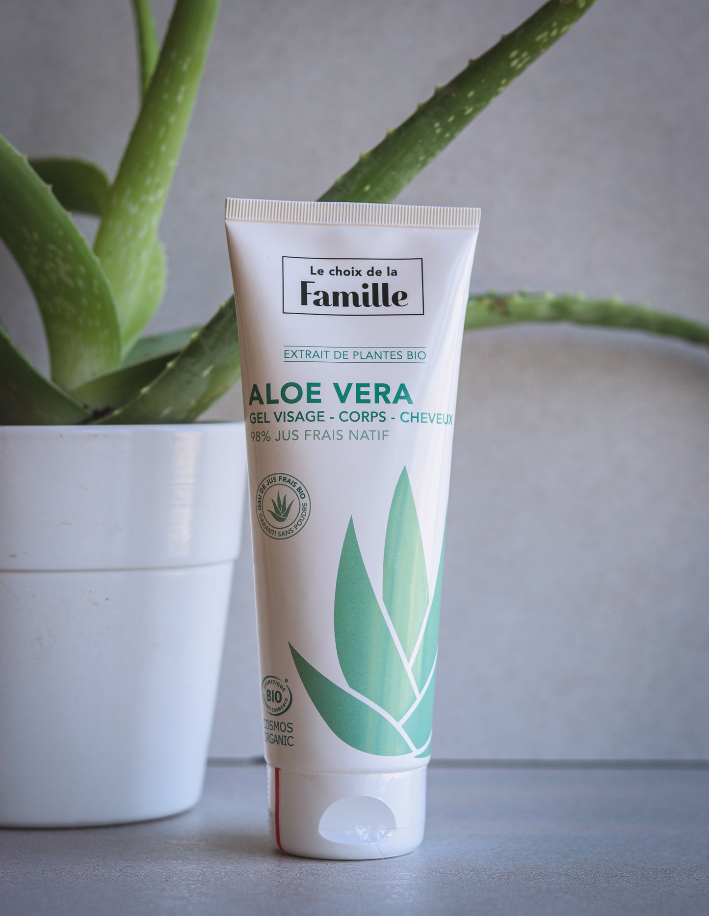 GEL aloe vera inspiration 3