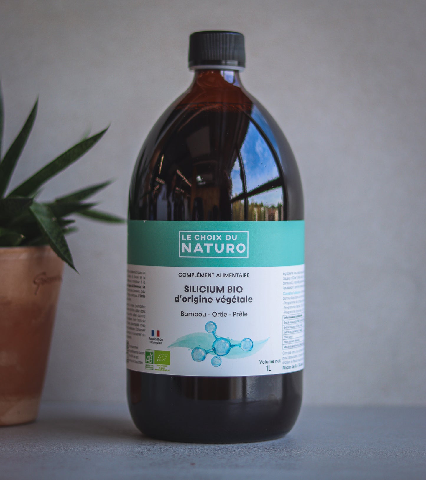 Silicium végétal organique bio - 1L