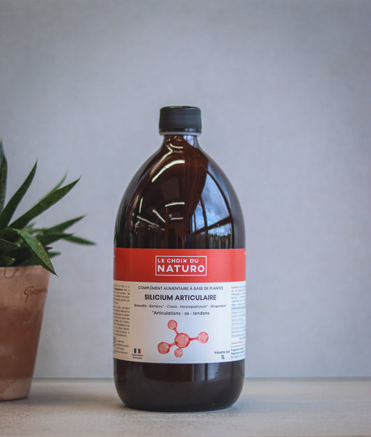 Silicium articulaire bio - 1L