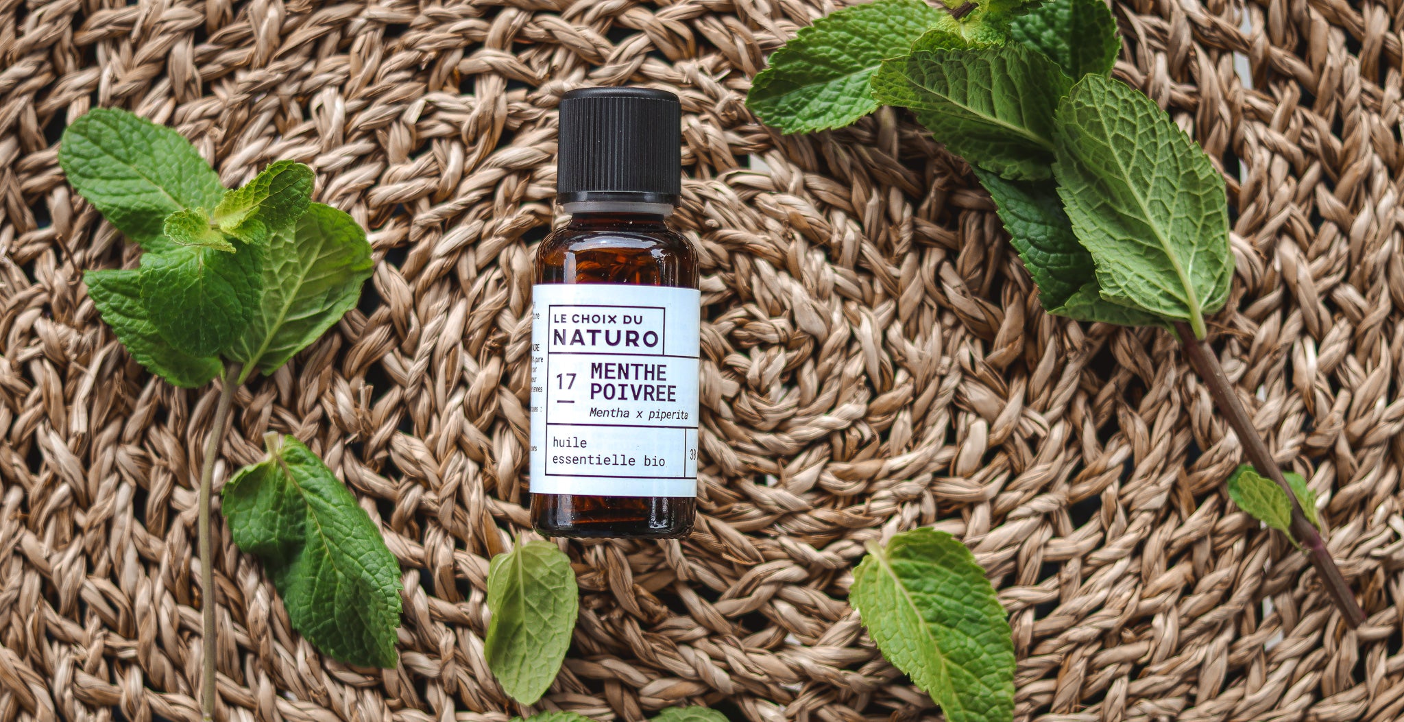 L'huile essentielle de Menthe poivrée bio - bienfaits et utilisation ...