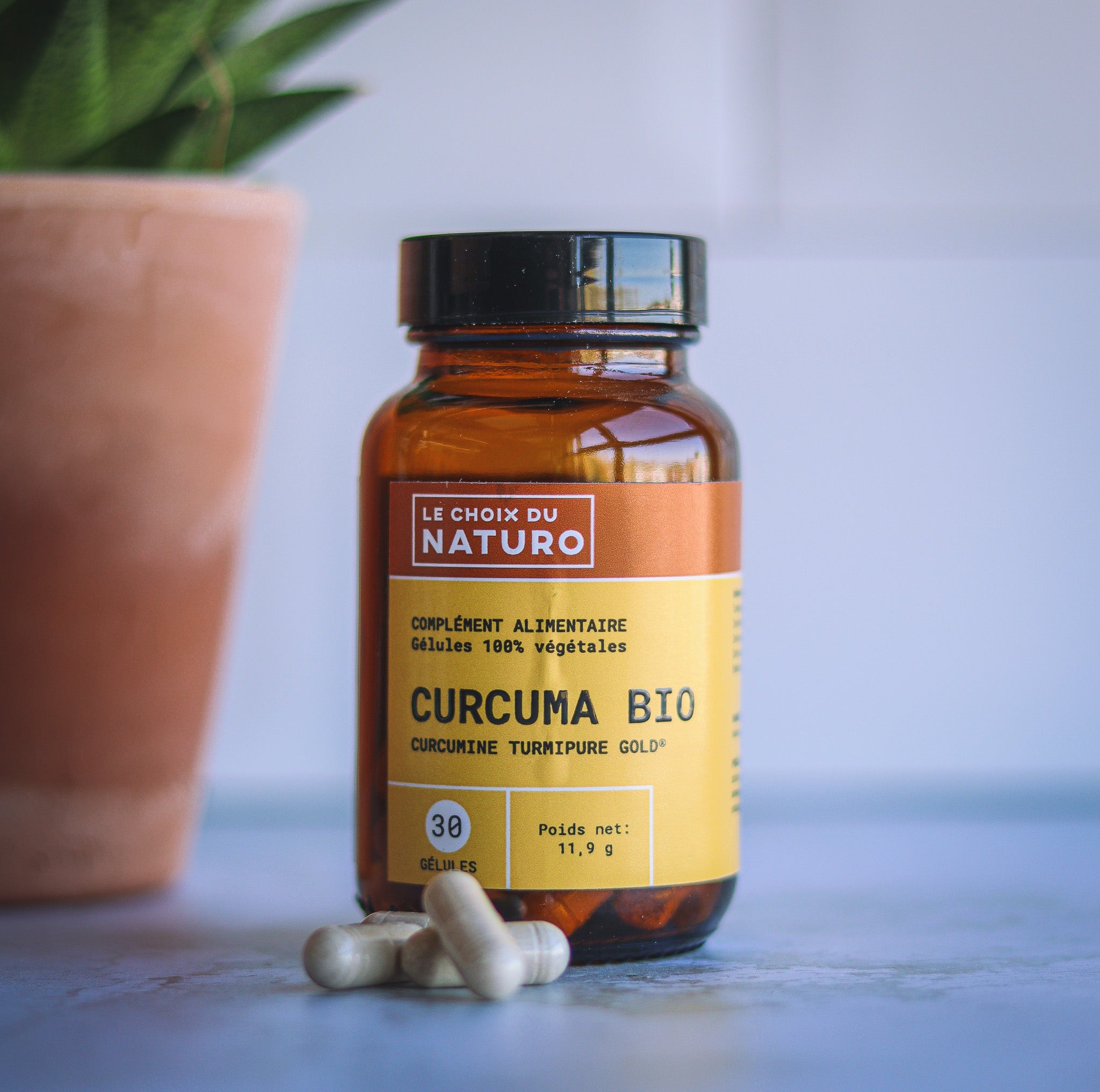 CURCUMA Longa - Complement Alimentaire Curcuma - Léro