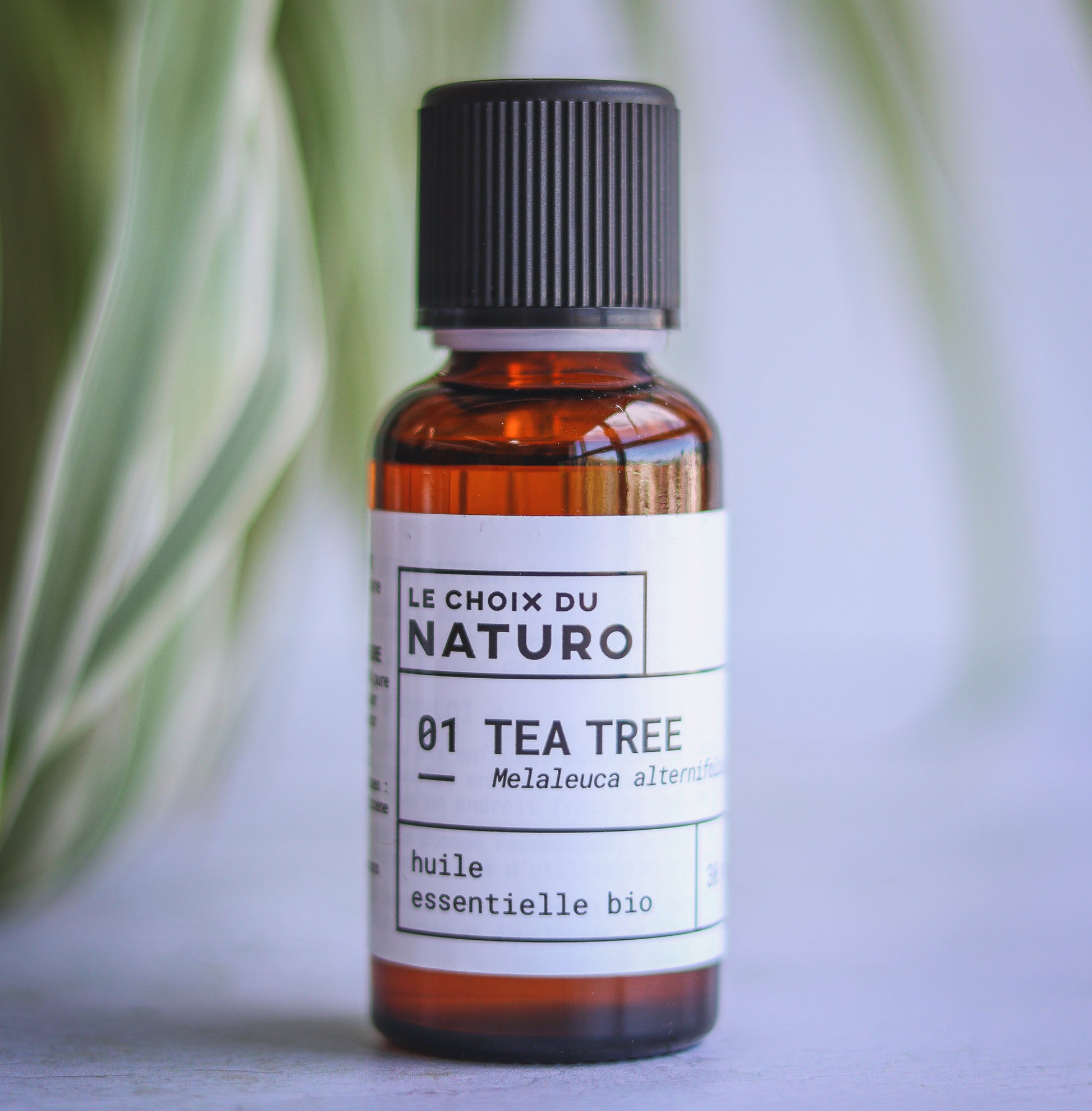 Huile essentielle bio de Tea-tree (melaleuca alternifolia)